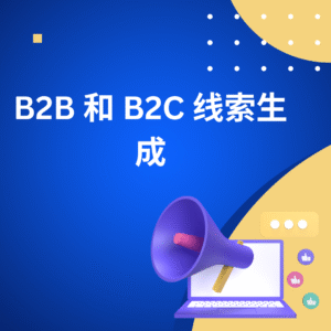 B2B 和 B2C 线索生成