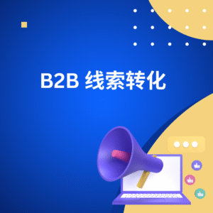 B2B 线索转化