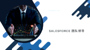 Salesforce 团队领导