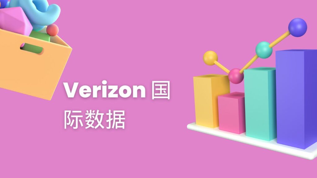 Verizon 国际数据