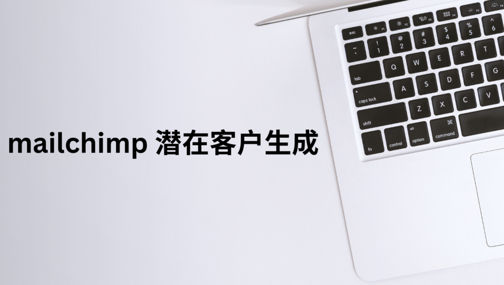 mailchimp 潜在客户生成